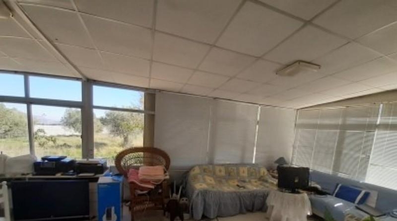 Alicante - Monóvar - 100000m2