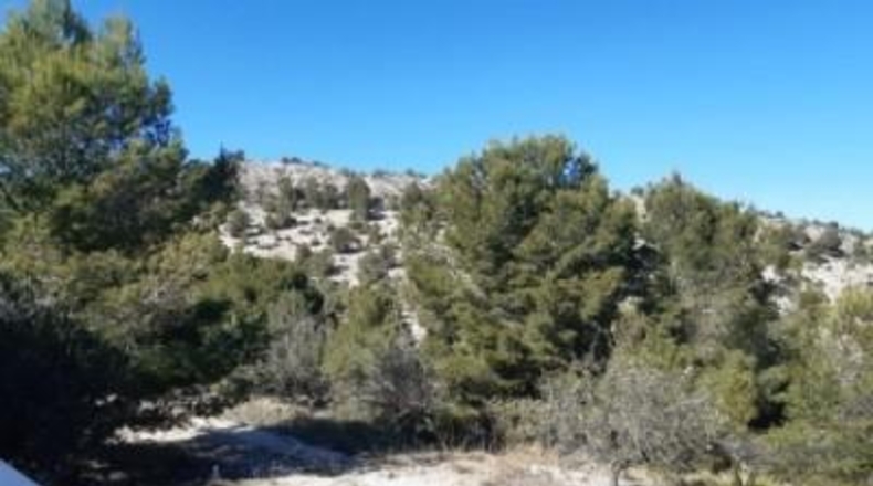 Alicante - Monóvar - 100000m2