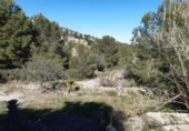 Chalet independiente con terreno en venta en la España, Monóvar, ref: TR146062 foto