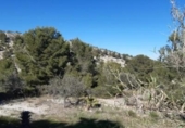 Chalet independiente con terreno en venta en la España, Monóvar, ref: TR146062 foto