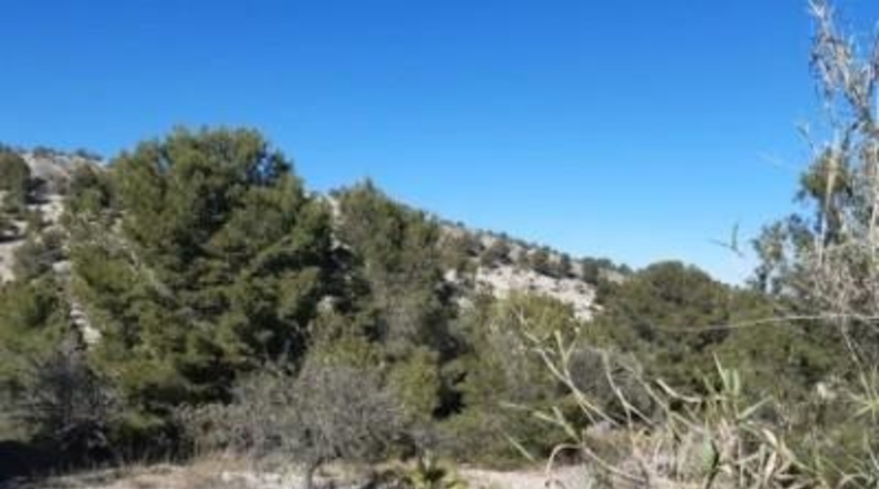 Alicante - Monóvar - 100000m2