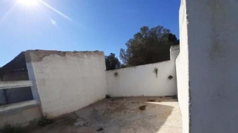 Alicante - Monóvar - 100000m2