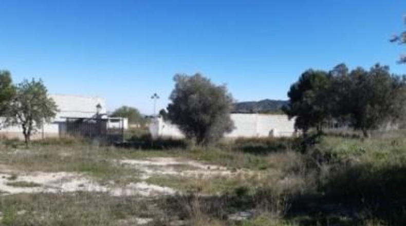 Alicante - Monóvar - 100000m2