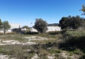 Chalet independiente con terreno en venta en la España, Monóvar, ref: TR146062 foto