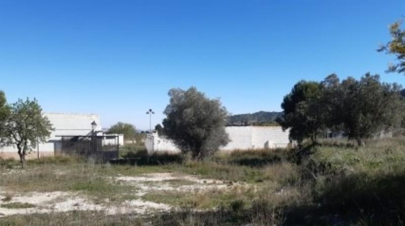 Alicante - Monóvar - 100000m2