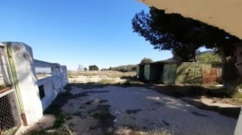 Alicante - Monóvar - 100000m2
