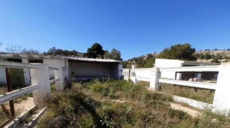 Alicante - Monóvar - 100000m2