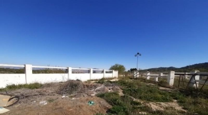 Alicante - Monóvar - 100000m2
