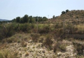 Parcela urbanizable en venta en la España, Novelda, ref: TR146074 foto