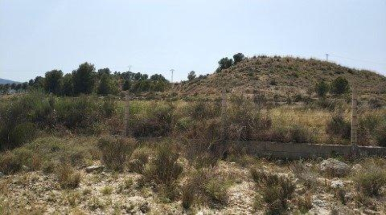 Alicante - Novelda - 100000m2