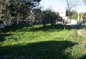Casa de camp amb terreny en venda a la España, Gata de Gorgos, ref.: TR146806 foto