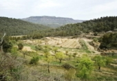 Xalet independent amb terreny en venda a la España, Fontdespatla, ref.: TR139320 foto