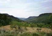 Xalet independent amb terreny en venda a la España, Fontdespatla, ref.: TR139320 foto