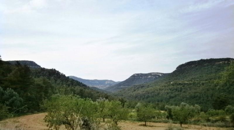 Teruel - Fuentespalda - 197000m2