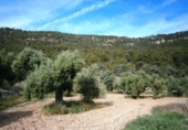 Xalet independent amb terreny en venda a la España, Fontdespatla, ref.: TR139320 foto