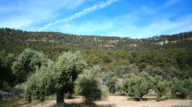 Teruel - Fuentespalda - 197000m2