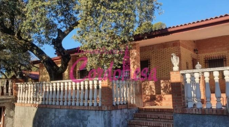Córdoba - Córdoba - 4000m2