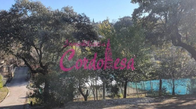 Córdoba - Córdoba - 4000m2