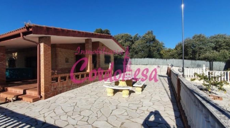 Córdoba - Córdoba - 4000m2