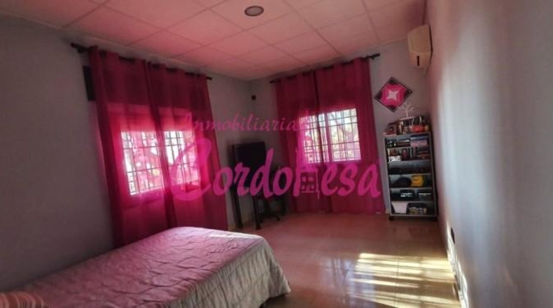 Córdoba - Córdoba - 4000m2