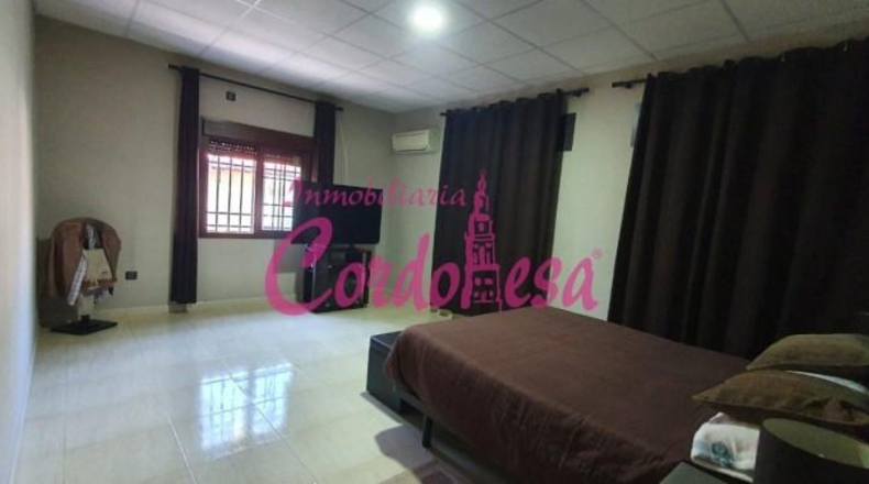 Córdoba - Córdoba - 4000m2