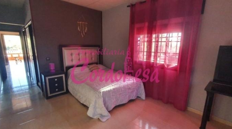 Córdoba - Córdoba - 4000m2