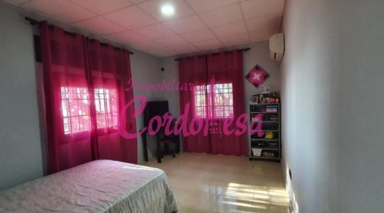 Córdoba - Córdoba - 4000m2
