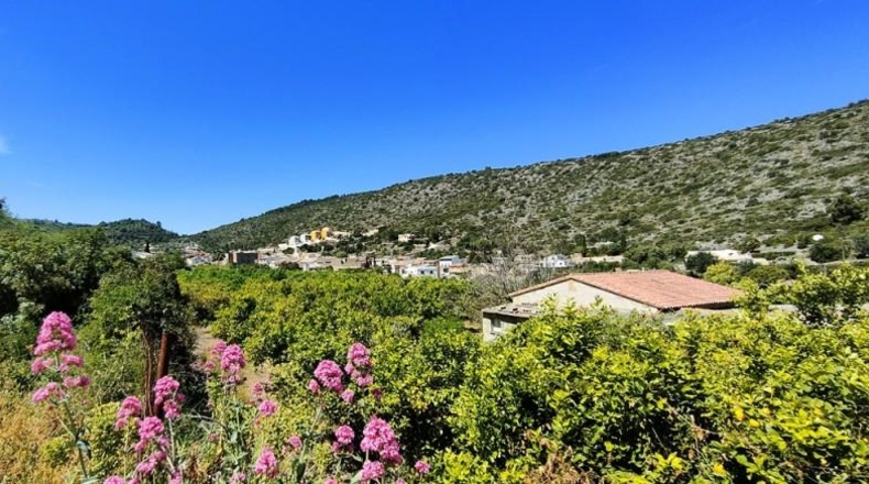 Alicante - Alcalalí - 1000m2
