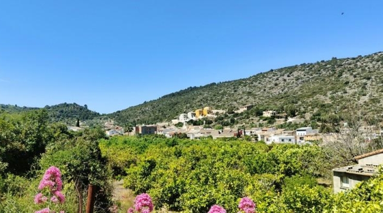 Alicante - Alcalalí - 1000m2