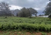Sòl urbà en venda a la España, Santiago de Compostel·la, ref.: TR123945 foto
