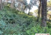 Sòl urbà en venda a la España, Cabrils, ref.: TR120043 foto