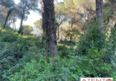Sòl urbà en venda a la España, Cabrils, ref.: TR120043 foto