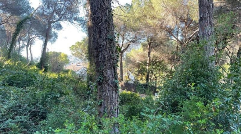 Barcelona - Cabrils - 788m2