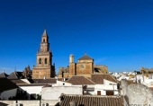Land suitable for development for sale on España, Carmona, ref: TR120764 photo
