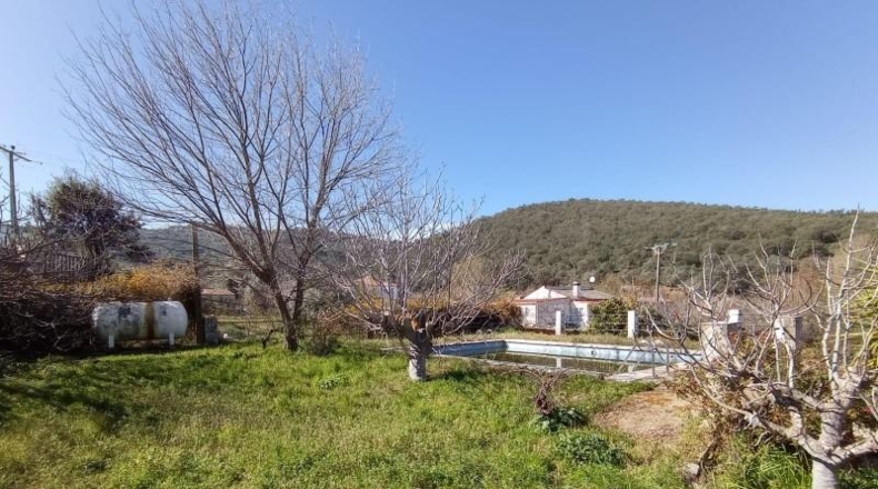 Cáceres - Cáceres - 7000m2