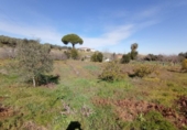 Casa de campo con terreno en venta en la España, Cáceres, ref: TR143419 foto