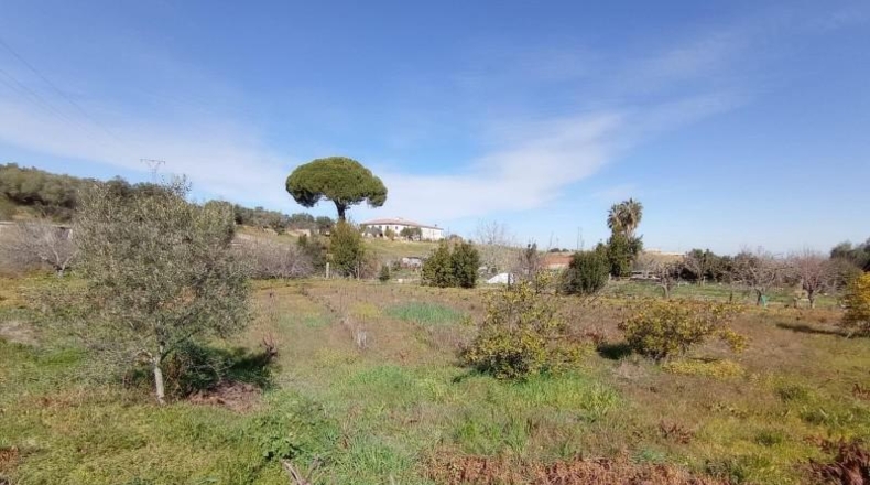 Cáceres - Cáceres - 7000m2