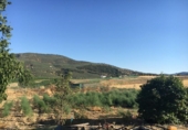 Дом с участком на продажу в городе Montefrío Фото