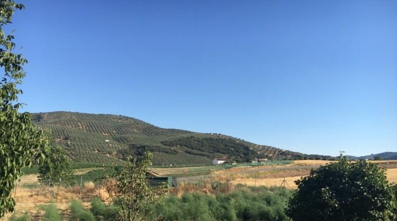 Granada - Montefrío - 336m2