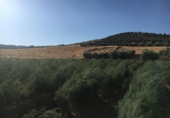 Дом с участком на продажу в городе Montefrío Фото