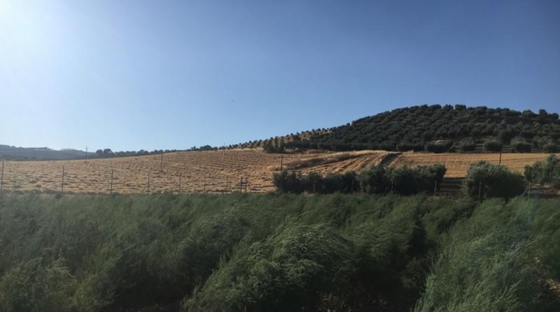 Granada - Montefrío - 336m2