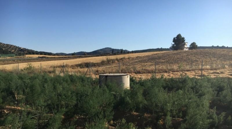 Granada - Montefrío - 336m2