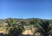 Дом с участком на продажу в городе Montefrío Фото