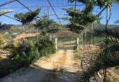 Дом с участком на продажу в городе Montefrío Фото