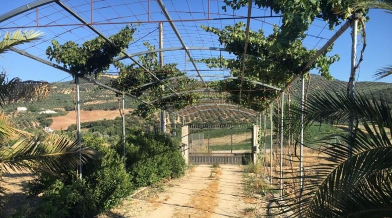 Granada - Montefrío - 336m2