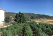 Дом с участком на продажу в городе Montefrío Фото