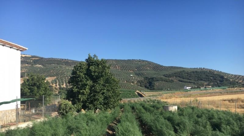 Granada - Montefrío - 336m2