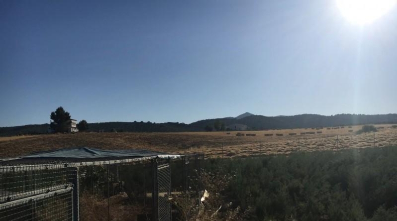 Granada - Montefrío - 336m2