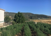 Дом с участком на продажу в городе Montefrío Фото
