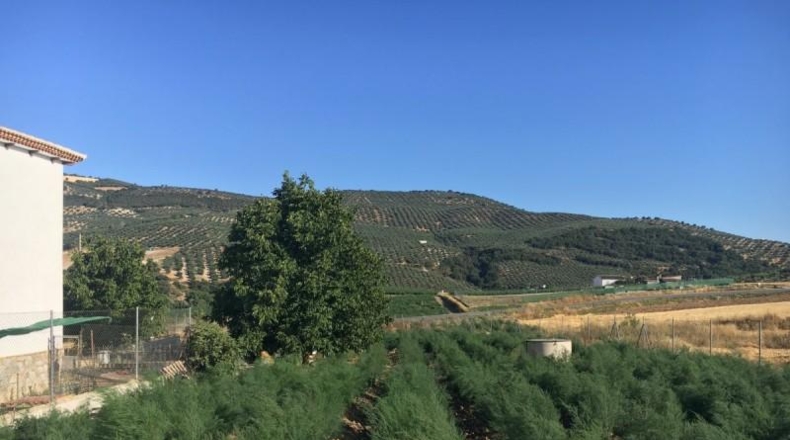 Granada - Montefrío - 336m2